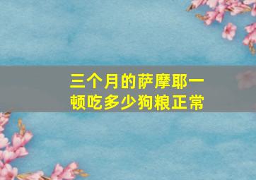 三个月的萨摩耶一顿吃多少狗粮正常