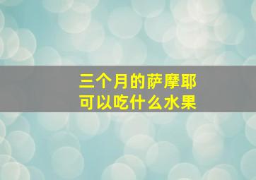 三个月的萨摩耶可以吃什么水果