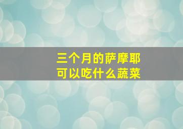 三个月的萨摩耶可以吃什么蔬菜