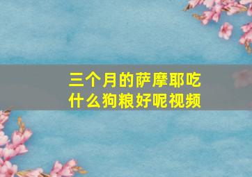 三个月的萨摩耶吃什么狗粮好呢视频