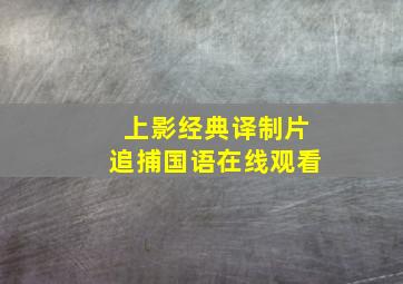 上影经典译制片追捕国语在线观看