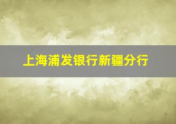 上海浦发银行新疆分行