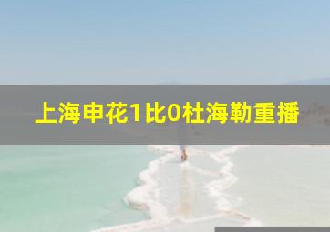 上海申花1比0杜海勒重播