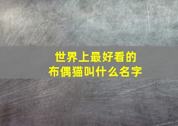 世界上最好看的布偶猫叫什么名字