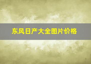 东风日产大全图片价格