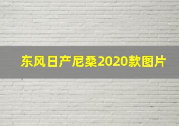 东风日产尼桑2020款图片