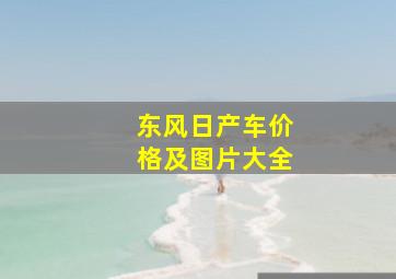 东风日产车价格及图片大全