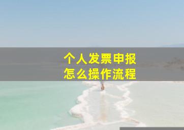 个人发票申报怎么操作流程