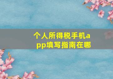 个人所得税手机app填写指南在哪