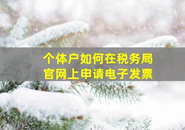 个体户如何在税务局官网上申请电子发票