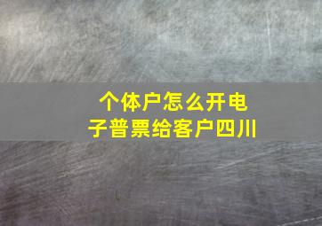 个体户怎么开电子普票给客户四川