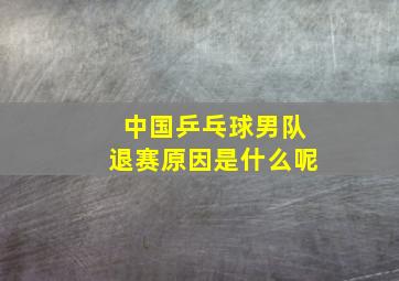 中国乒乓球男队退赛原因是什么呢