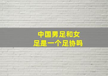 中国男足和女足是一个足协吗