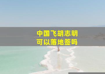 中国飞胡志明可以落地签吗