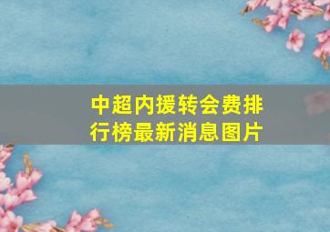 中超内援转会费排行榜最新消息图片