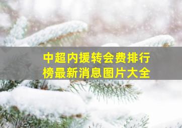 中超内援转会费排行榜最新消息图片大全