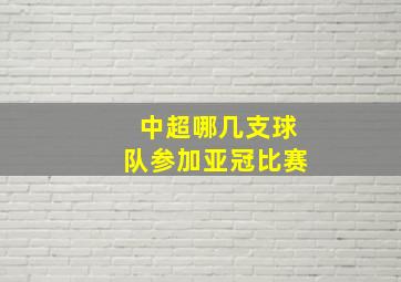 中超哪几支球队参加亚冠比赛