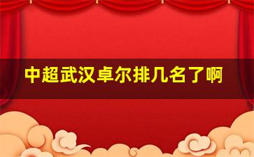 中超武汉卓尔排几名了啊