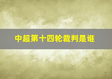 中超第十四轮裁判是谁