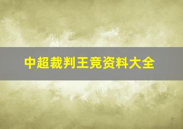 中超裁判王竞资料大全