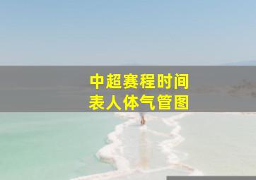 中超赛程时间表人体气管图