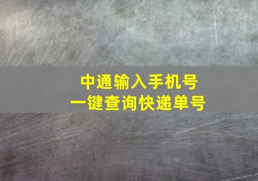 中通输入手机号一键查询快递单号