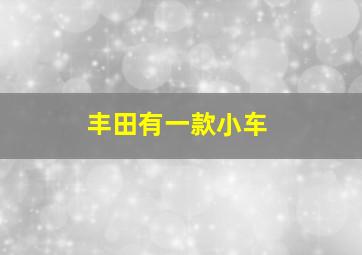 丰田有一款小车