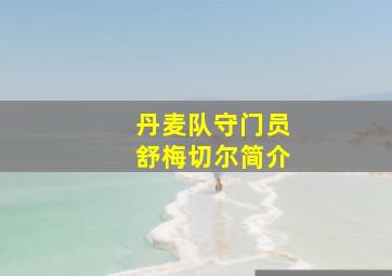 丹麦队守门员舒梅切尔简介