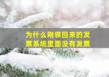 为什么刚领回来的发票系统里面没有发票