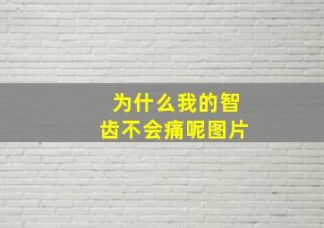 为什么我的智齿不会痛呢图片