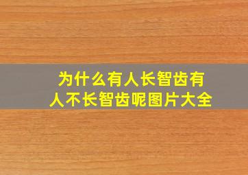 为什么有人长智齿有人不长智齿呢图片大全