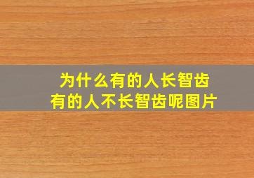 为什么有的人长智齿有的人不长智齿呢图片