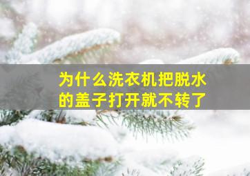 为什么洗衣机把脱水的盖子打开就不转了