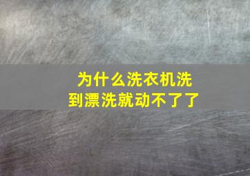 为什么洗衣机洗到漂洗就动不了了