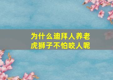 为什么迪拜人养老虎狮子不怕咬人呢