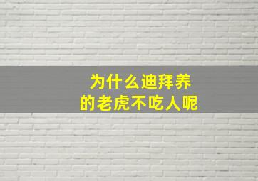 为什么迪拜养的老虎不吃人呢