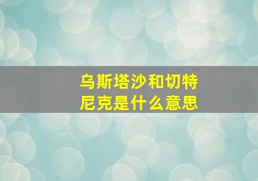 乌斯塔沙和切特尼克是什么意思