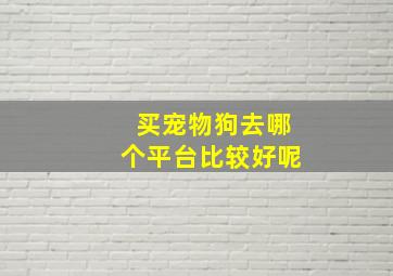 买宠物狗去哪个平台比较好呢