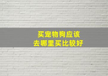 买宠物狗应该去哪里买比较好