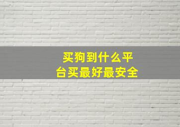 买狗到什么平台买最好最安全