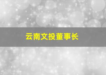 云南文投董事长