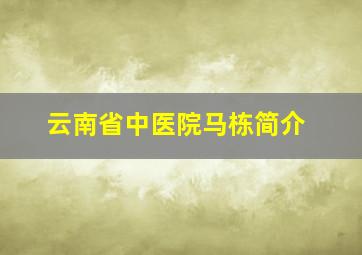 云南省中医院马栋简介