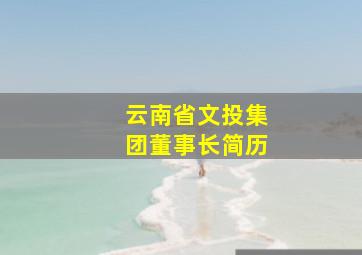 云南省文投集团董事长简历