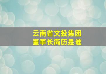 云南省文投集团董事长简历是谁