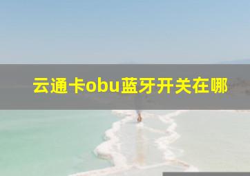 云通卡obu蓝牙开关在哪