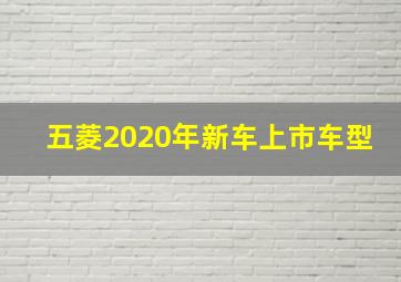 五菱2020年新车上市车型