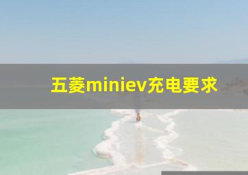 五菱miniev充电要求