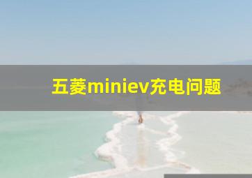 五菱miniev充电问题