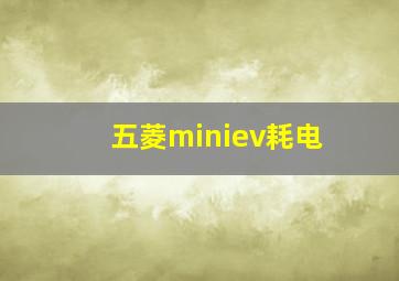 五菱miniev耗电