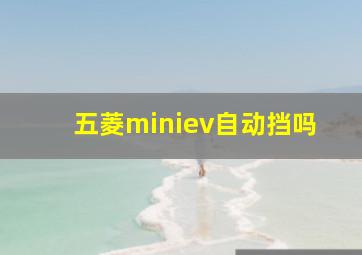 五菱miniev自动挡吗